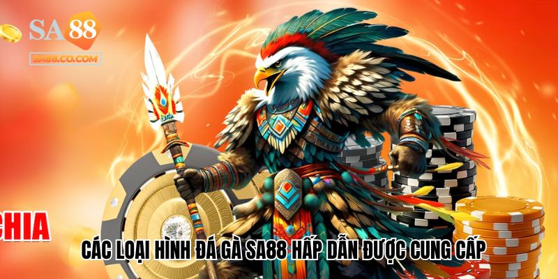 Các loại hình đá gà Sa88 hấp dẫn được cung cấp tại nhà cái